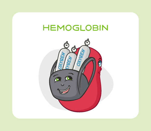 Hemoglobin