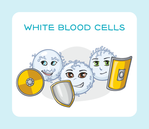 white blood cells