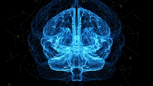 Digital image of artificial intelligence human brain