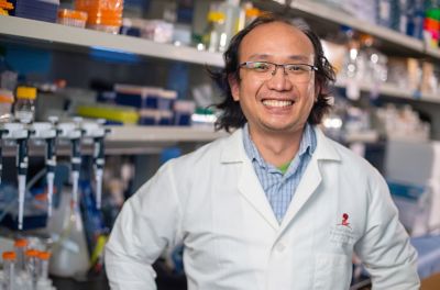 Ping Chung Chen, PhD