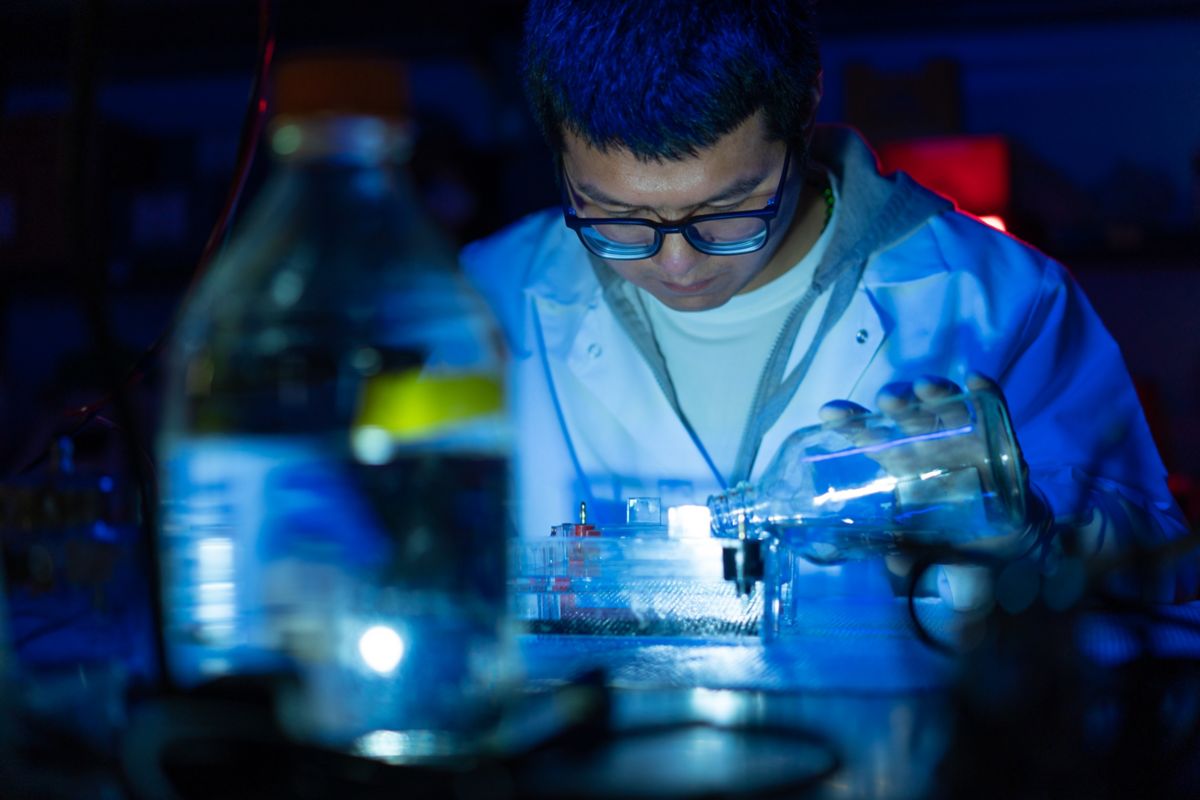 Cheng Lab Team St. Jude Research