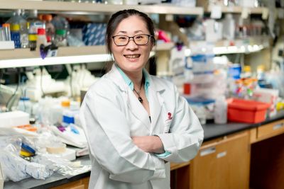 Penny Cheng, PhD 