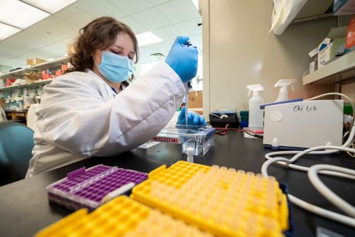 woman working in lab