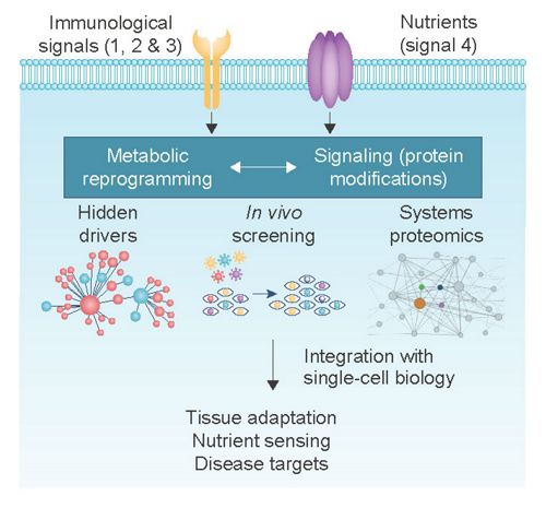 lab diagram