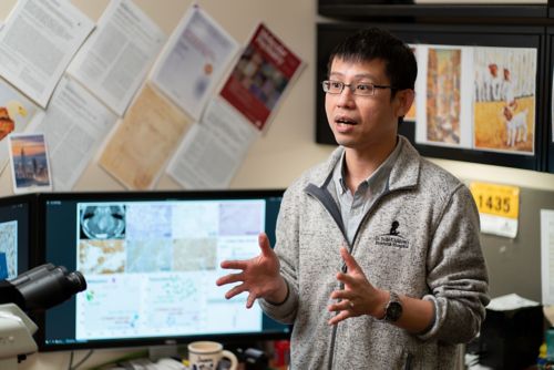 Jason Chiang, MD, PhD, St. Jude Department of Pathology