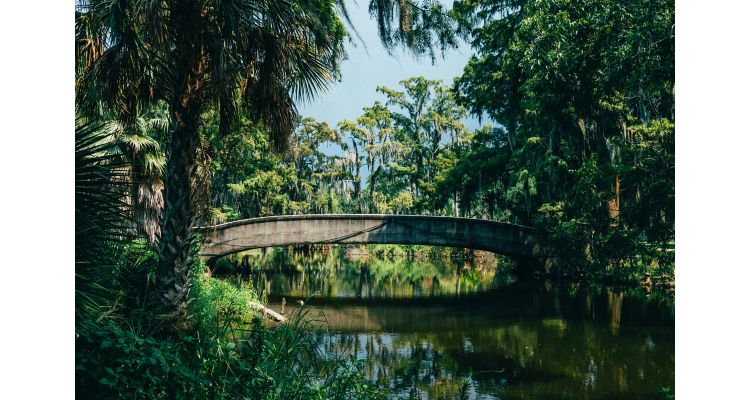 Small bridge over a river surrounded by dense trees.