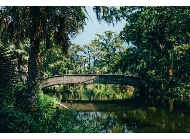 Small bridge over a river surrounded by dense trees.