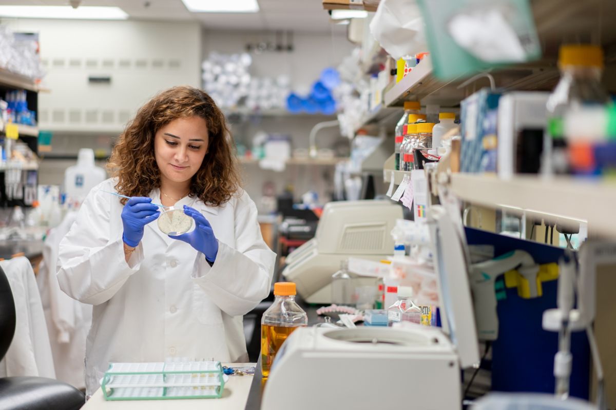 Clements Lab | St. Jude Research