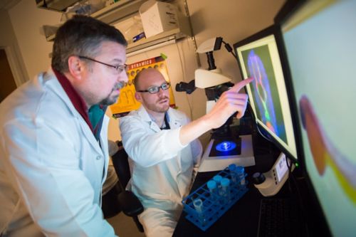 photo of Wilson Clements, PhD, and Erich Damm, PhD, in the lab