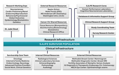 Research infrastructure and clinical infrastructure chart