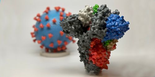 Virus model, with the virus surface (colored blue) covered with red spike proteins