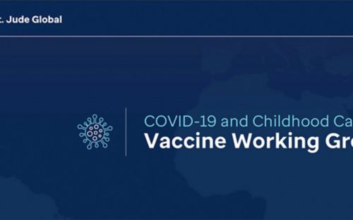 COVID-19 vaccine working group