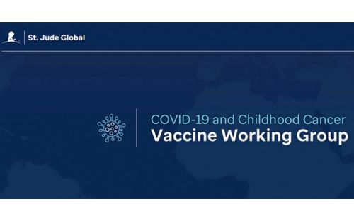 COVID-19 vaccine working group