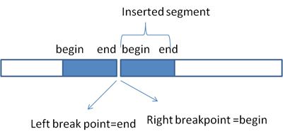 graphic showing gemonic duplication event