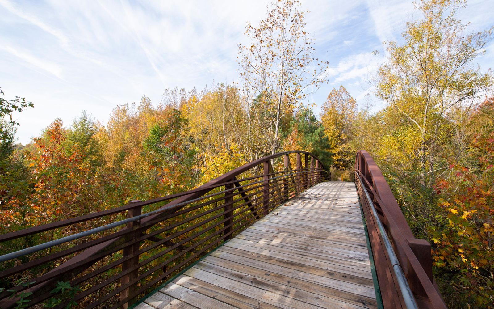 photo of bridge on Greenline