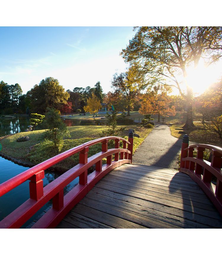 Photo of Footbridge in Memphis Botanic Garden