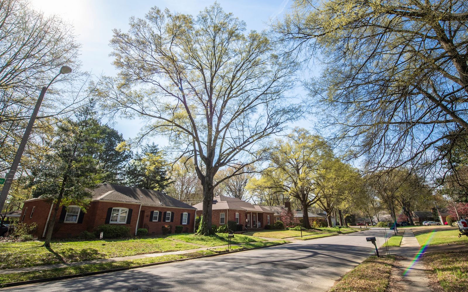 Photo of suburban Memphis street