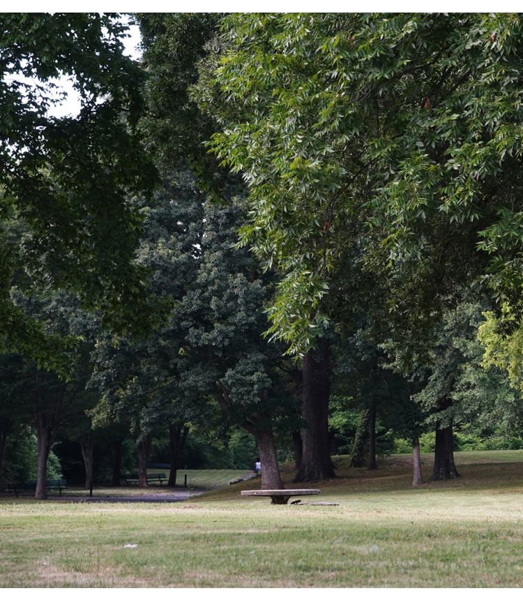 Lawn with benchs and trees in a park on a cloudy day.