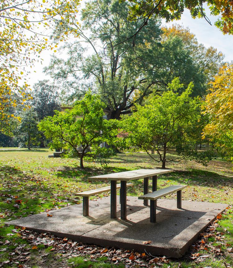 Picnic bench on a lawn surrounded by trees on a sunny day.