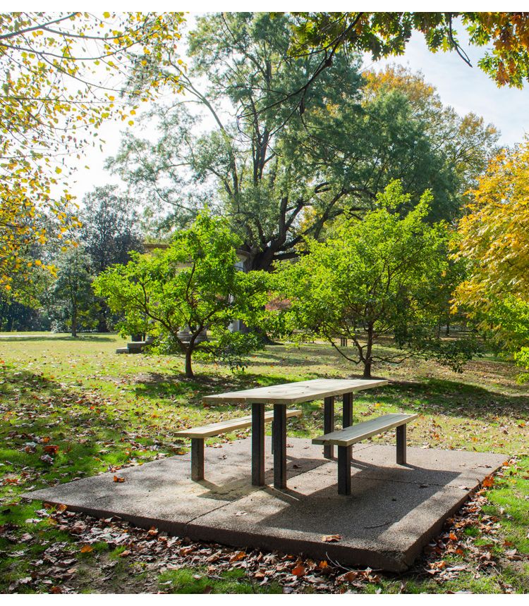 Picnic bench on a lawn surrounded by trees on a sunny day.