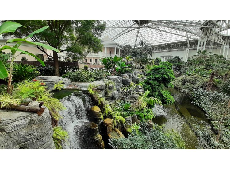 Photo of an indoor garden with lot of ferns and shrubbery