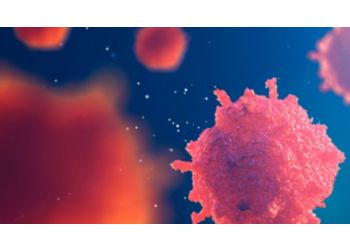 department preview image