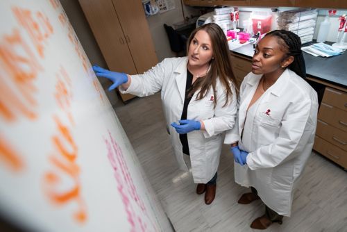 two women looking at a whiteboard