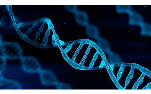 Blue chromosome DNA strand