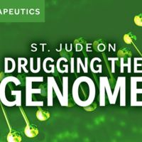 Drugging the genome