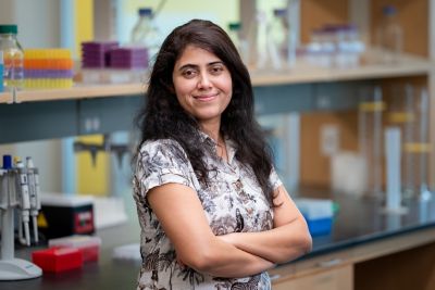 Anju Dwivedi, PhD