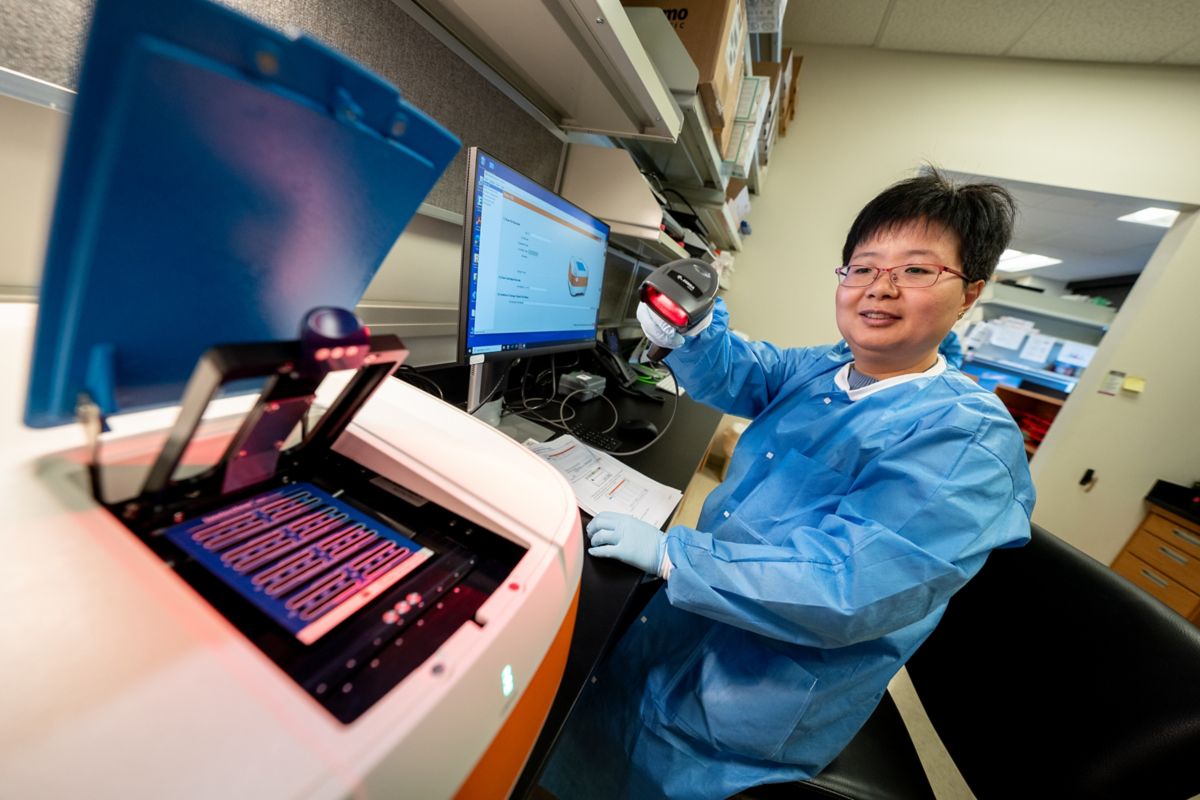 Experimental Cellular Therapeutics Laboratory St. Jude Research