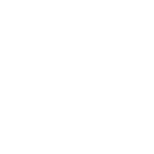 Icon that shows the outline of a person next to a circle with a lightning bolt inside