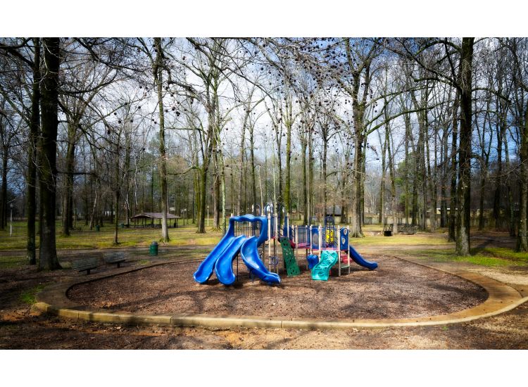 Image of playground equipment