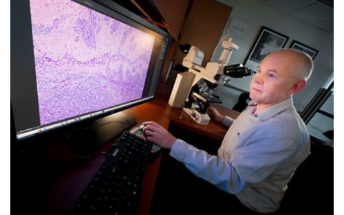 A pathologist reviews an enlarged view of tissue on a large format monitor. 