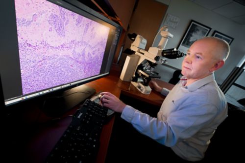 A pathologist reviews an enlarged view of tissue on a large format monitor.
