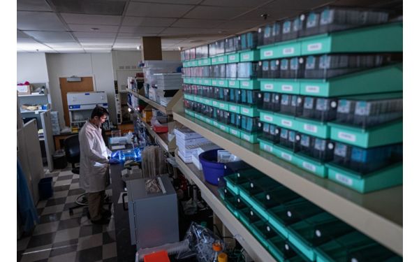 Labs | St. Jude Research