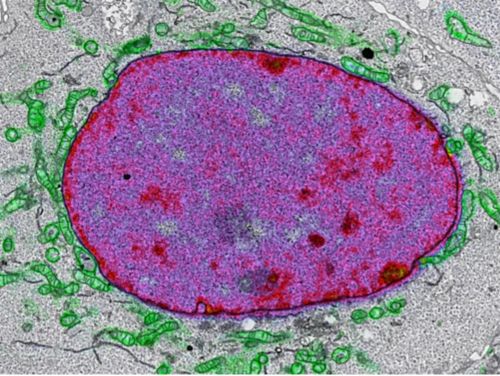 Two people looking at an image on a computer screen