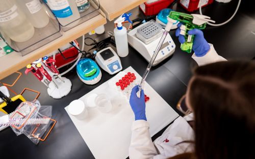 woman working in lab