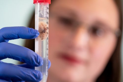 Woman in lab loking at test tube