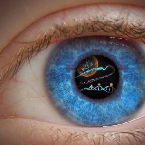 Illustration showing images of genetic processes inside the pupil of an eye