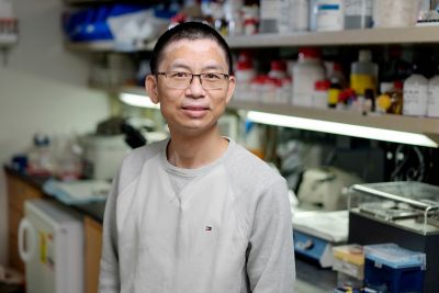 Jie Fang, PhD