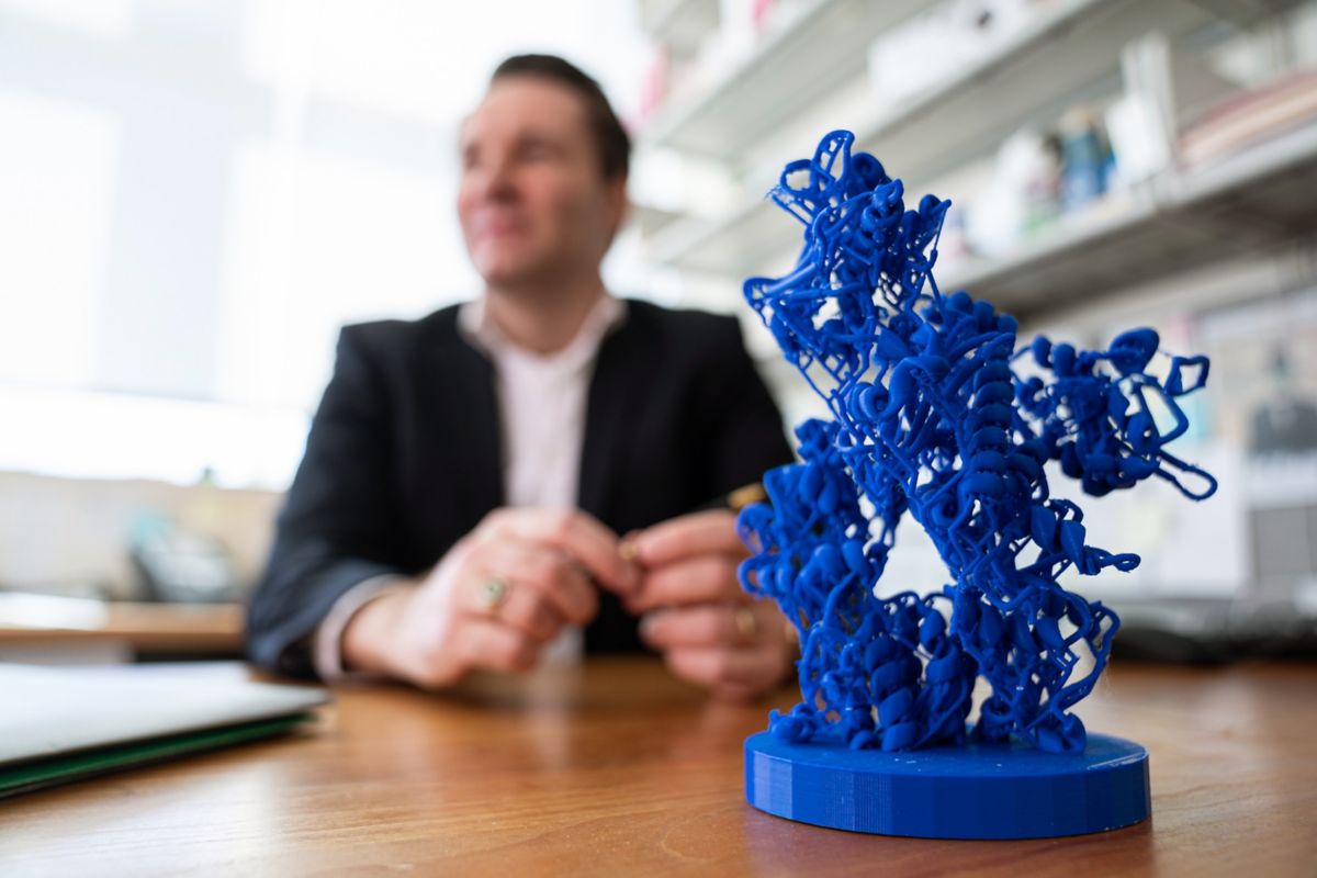 Fischer Lab St. Jude Research