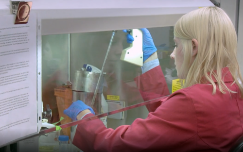 Image of woman working in lab