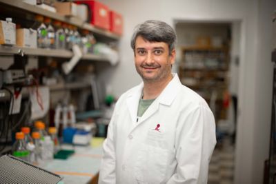 Brian Freibaum, PhD