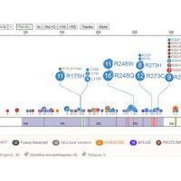 Whole genome sequencing beneficial in clinical decision-making: G4K Study