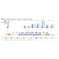 Whole genome sequencing beneficial in clinical decision-making: G4K Study