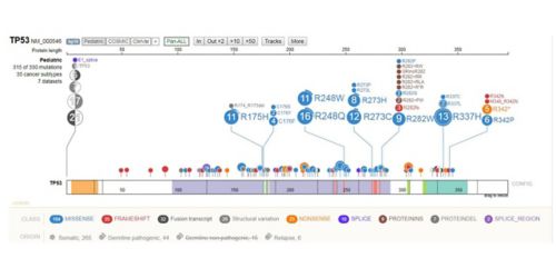 Graphic visualization of  genetic data