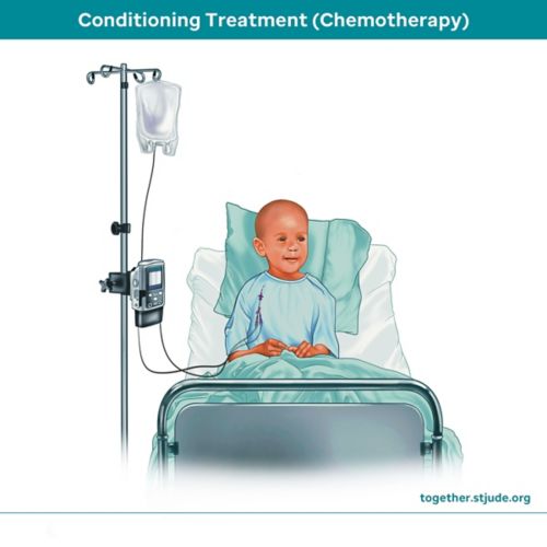 conditioning treatment (chemotherapy)