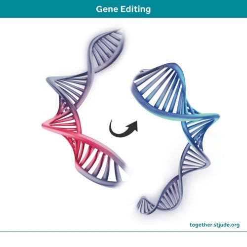 Gene modification and stem cell processing
