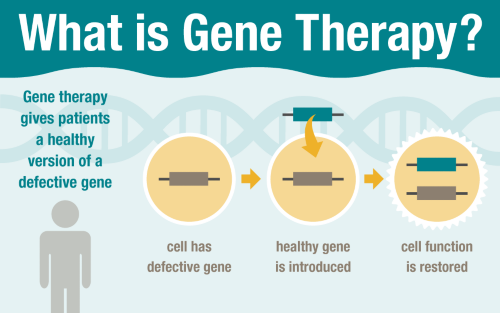 gene therapy at st jude research how to write vulnerability assessment report